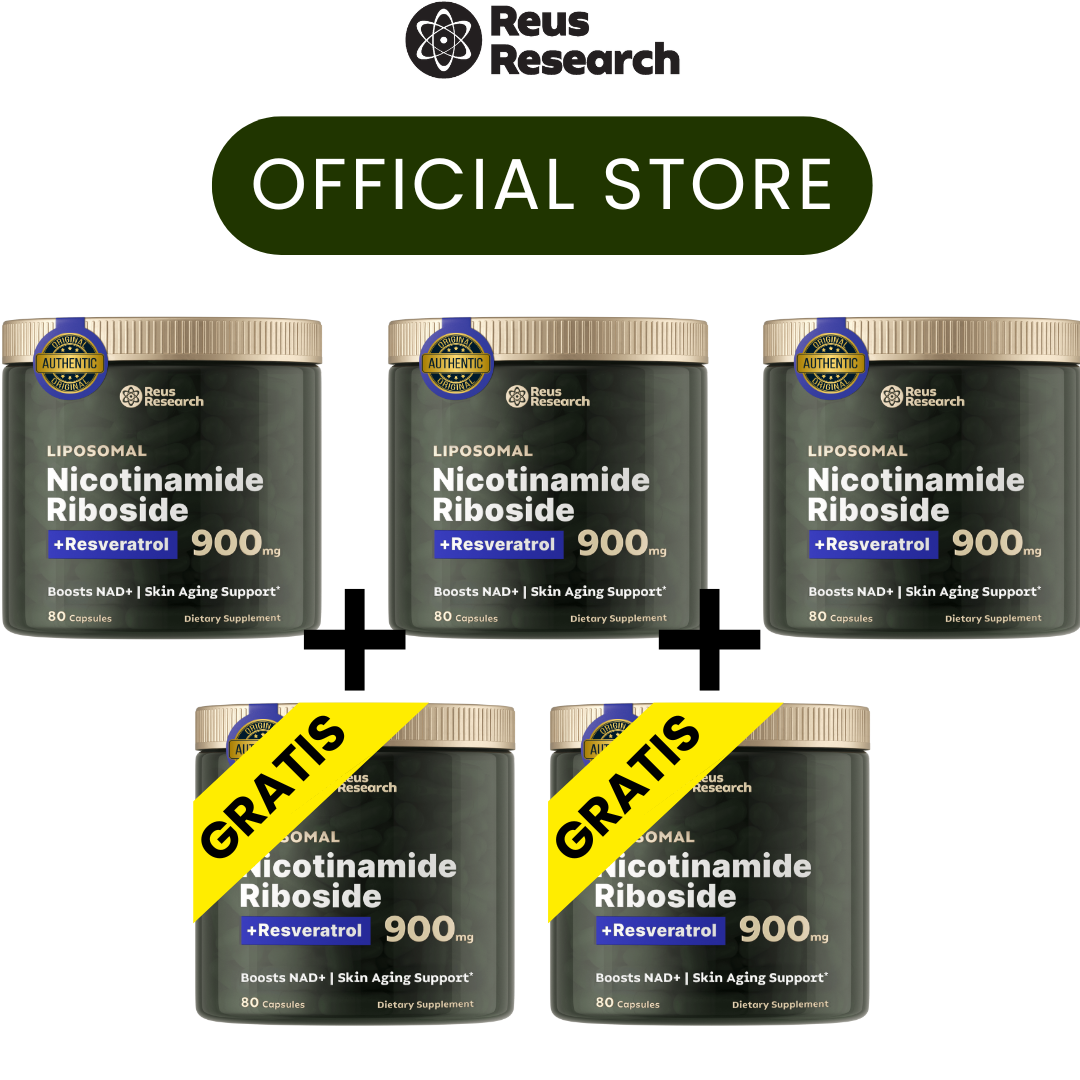 back up 1 - BIYODE ENERGY