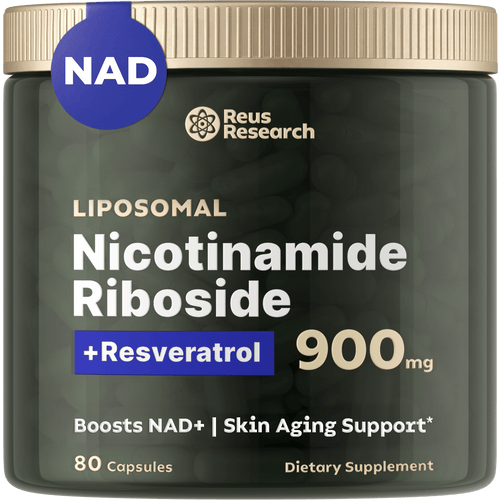 DISTRIBUIDOR OFICIAL