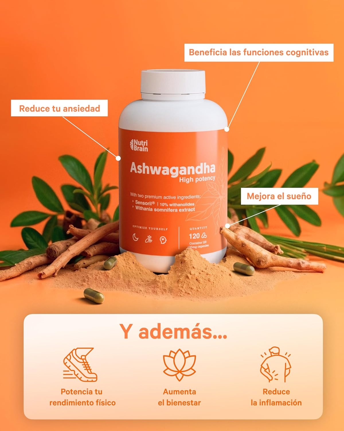 Ashwagandha High Potency - BIYODE ENERGY