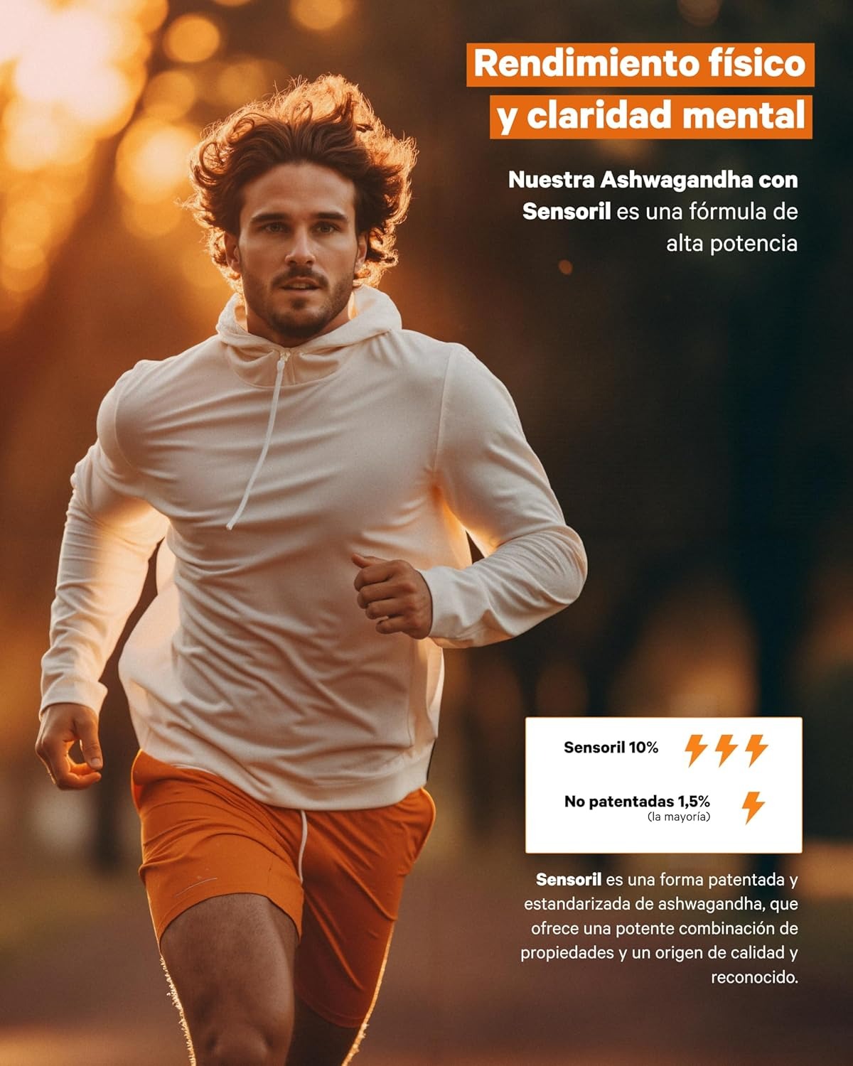 Ashwagandha High Potency - BIYODE ENERGY